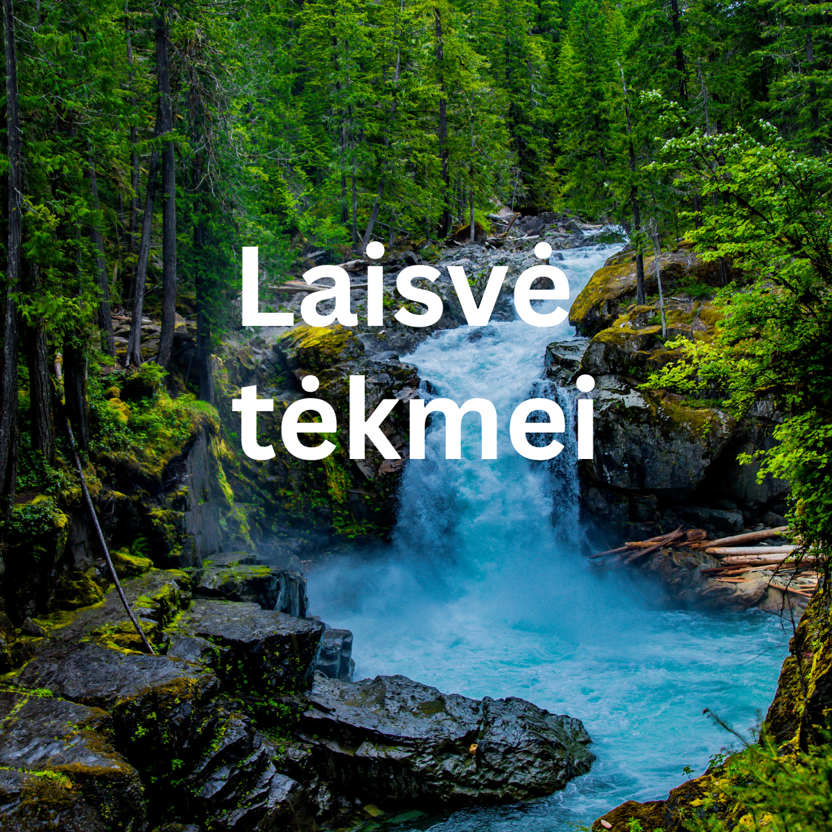 your paragraph text(1)